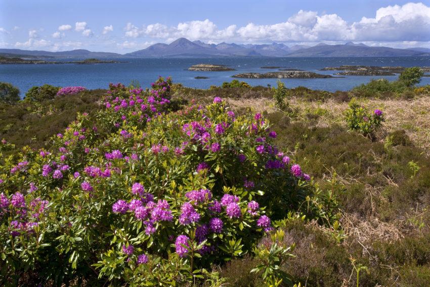 WY3Q8279 Island Of Skye From Coastline Nr Kyle Of Lochalsh