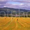 Summer View Overlooking Pitlochry Perthshire