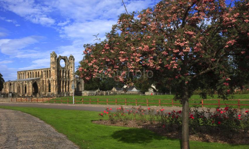 Elgin Cathedral In Sept Morayshire