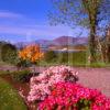 Dramatic Colourful Scene Towards Corran Sound And Ardgour From South Corran Lochaber West Highlands