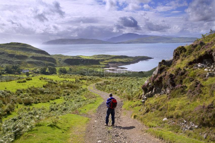 Footpath On Kerrera S West Coast