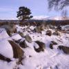 Winter View Towards The Cairngorms From Tullachgrue