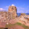 A Beautiful Summer Scene In Amongst The Ruins Of St Andrews Castle Fife