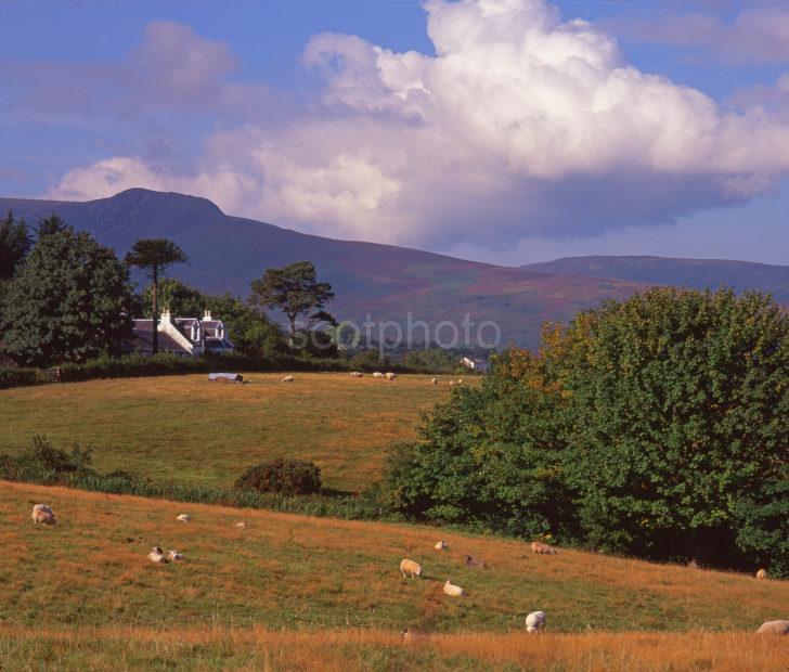 Early Autumn View Of The Arran Countryside Seen On The Higher Slopes Above Brodick Island Of Arran