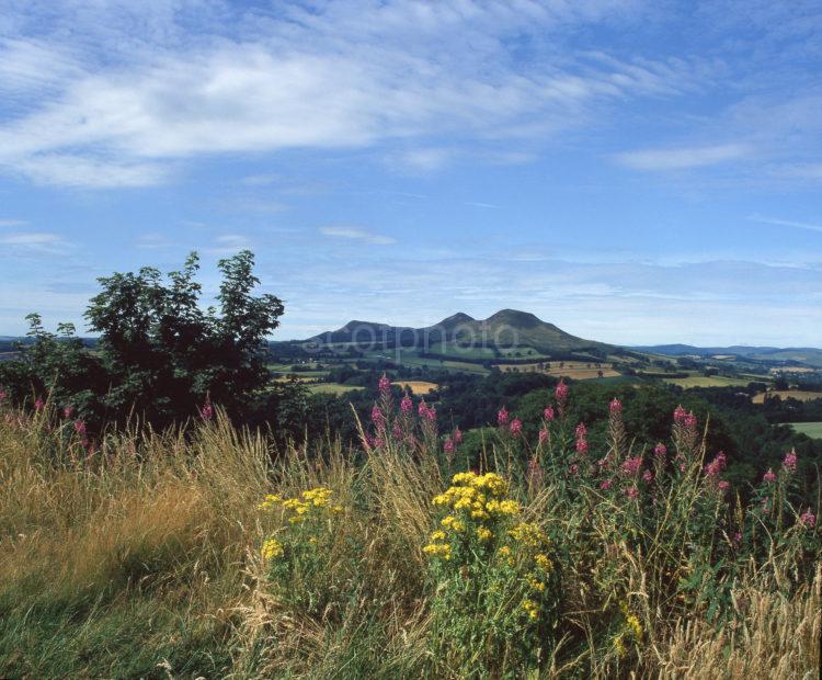 Scotts View The Eildon Hills From Berersyde Scottish Borders