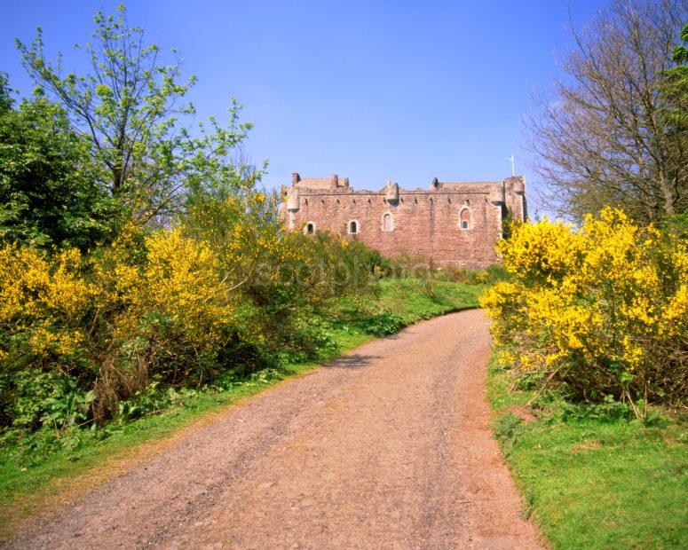 Doune Castle In Spring