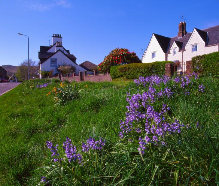 Summer View In The Picturesque Village Of Kilmartin Argyll