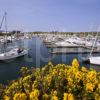 Yachts At Kip Marina In Spring Renfrewshire