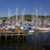 0I5D0163 A Busy Scene In Tarbert Harbour 2008