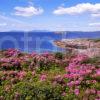 Eigg And Rhum From Roshven Lochailort