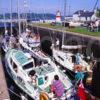 Busy Scene In Crinan Basin Crinan Canal