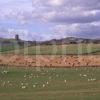 A Beautiful Summer View Towards Castle Of Smailholm As Seen From Across Borders Countryside Scottish Borders