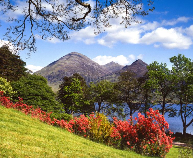 Loch Duich Spring