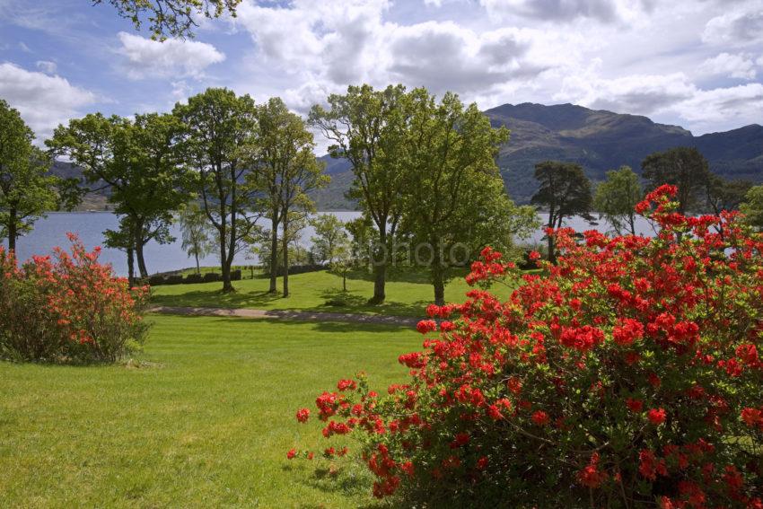 WY3Q7318 Springtime On Loch Duich