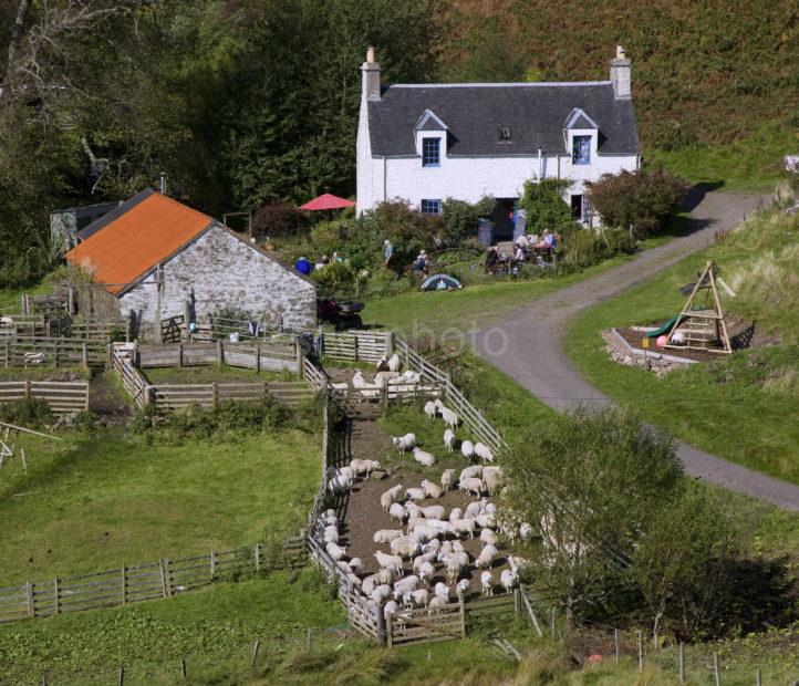 South End Of Kerrera Cottage Cafe Nr Gylen