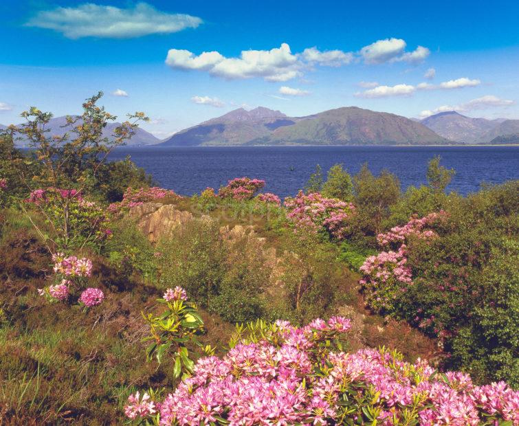 Loch Linnhe Spring From Duror