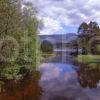 Summer Scene Near Aviemore With Cairngorms