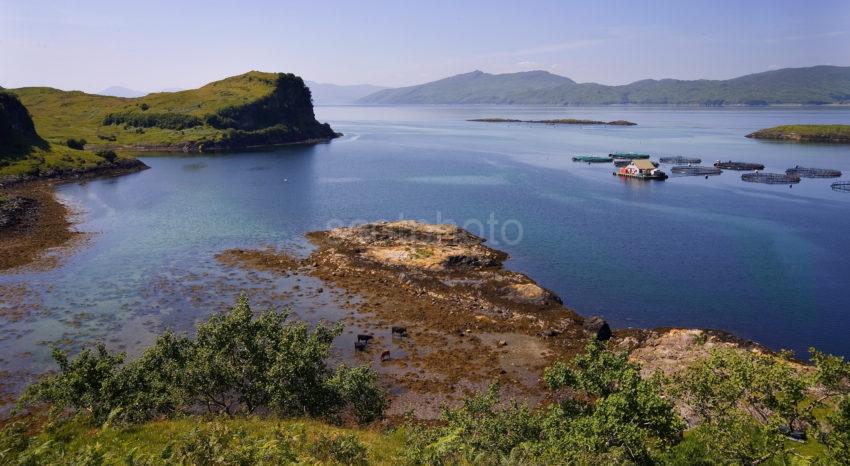 Lismore Fish Farm