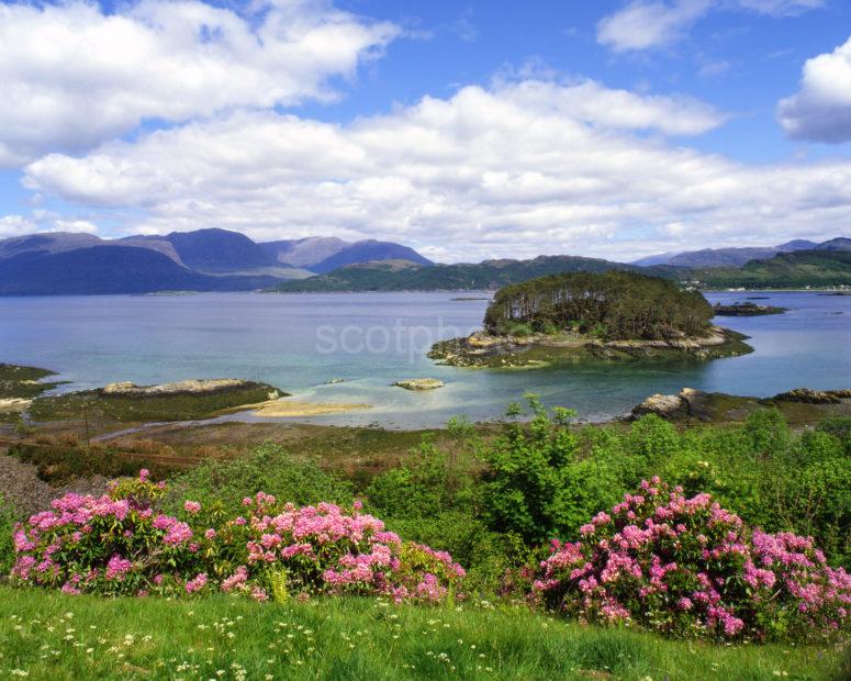 SPRINGTIME ON LOCH CARRON WITH APPLECROSS HILLS