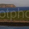 DSC 9513 Sheep Grazing On The Coastline On The Eye Peninsula