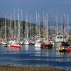 Cluster Of Yachts Intarbert Loch Fyne