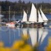 Yacht In Dunstaffnage Bay Feb 08