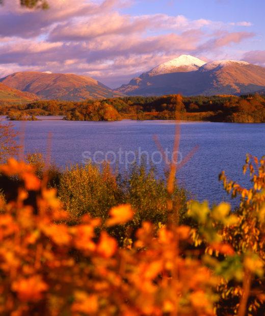 Magnificent Autumn Colours On The Shore Of Loch Awe With Distant Ben Lui Loch Awe Argyll