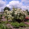 Rodney Gardens On South Side Of Tay In City Of Perth