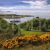 MV Isle Of Mull Passes Dunollie Castle 2013