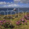 Portrait Of MV Coruisk Departing Mallaig