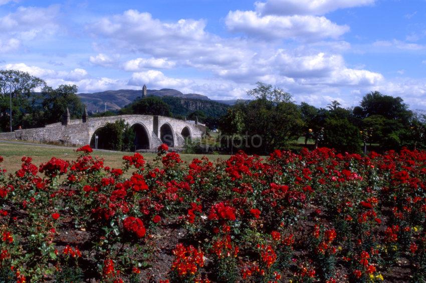 Summer Old Stirling Bridge And Wallace Monument