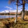 Loch Tulla And Stob Gabhar From Black Mount Forest Bridge Of Orechy