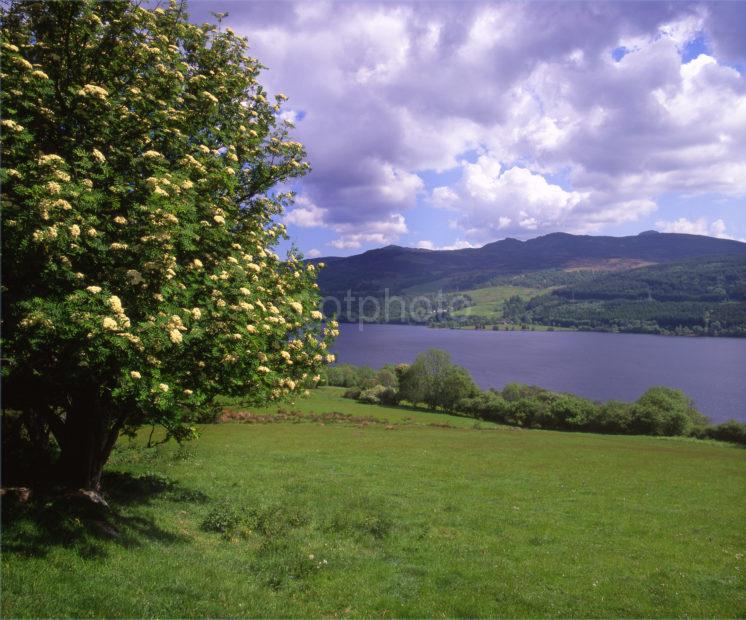 Loch Tummel Perthshire