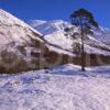 Winter Arrives In Glen Nevis With Ben Nevis In View Lochaber West Highlands