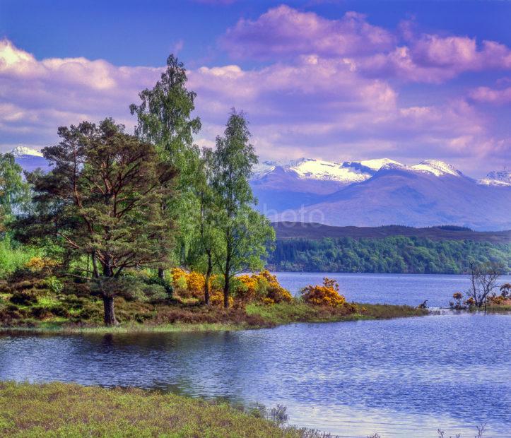 Loch Lochy From Bunarkaig