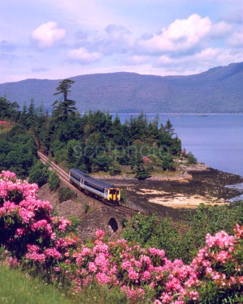 Sprinter On West Highland Line On Loch Carron Kyle Line