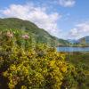 Eilean Donan Castle 2