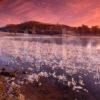 Lochan Nan Oview Near Newtonmore