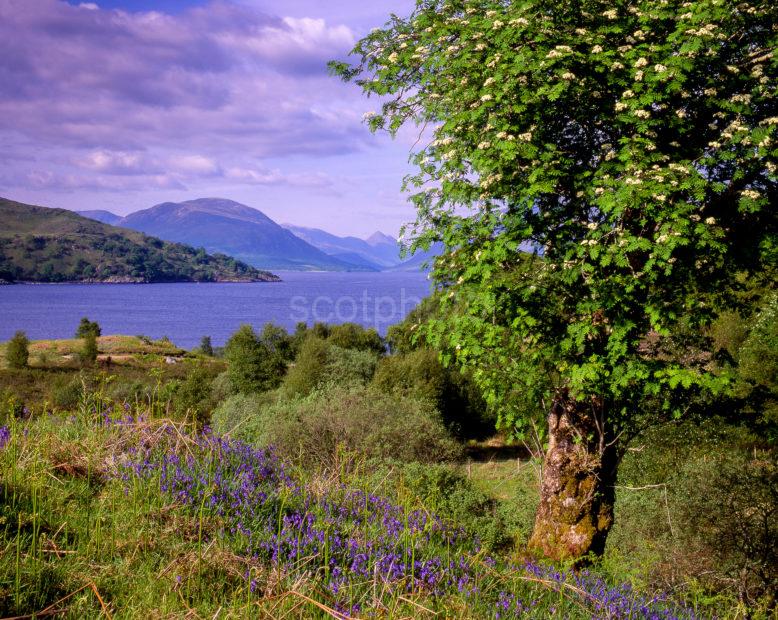 Loch Etive Towards Glen Etive