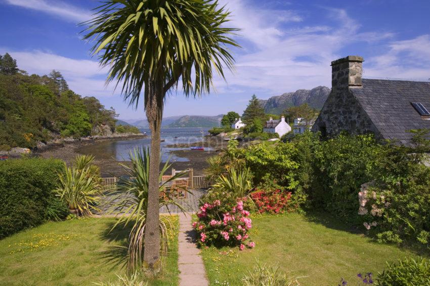 Summer In Plockton On Loch Carron