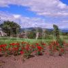 A Colourful Summer Scene In Picturesque Stirling With Views Towards The Old Stirling Bridge And Wallace Monument Stirling Central Region