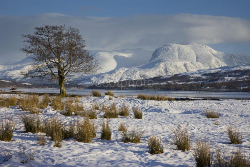 I5D1832 Towards Ben Nevis From Shore Of Loch Eil Lochaber