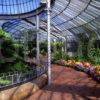 Inside The Kibble Palace Glasgow Botanical Gardens West Side Of Glasgow