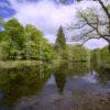 RIVER IN GLEN CRERAN