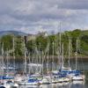 Dunstaffnage Castle Vert