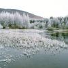 Loch Locbhair Frosty Scene