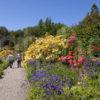 Visitors Stroll Through Arduaine Garden