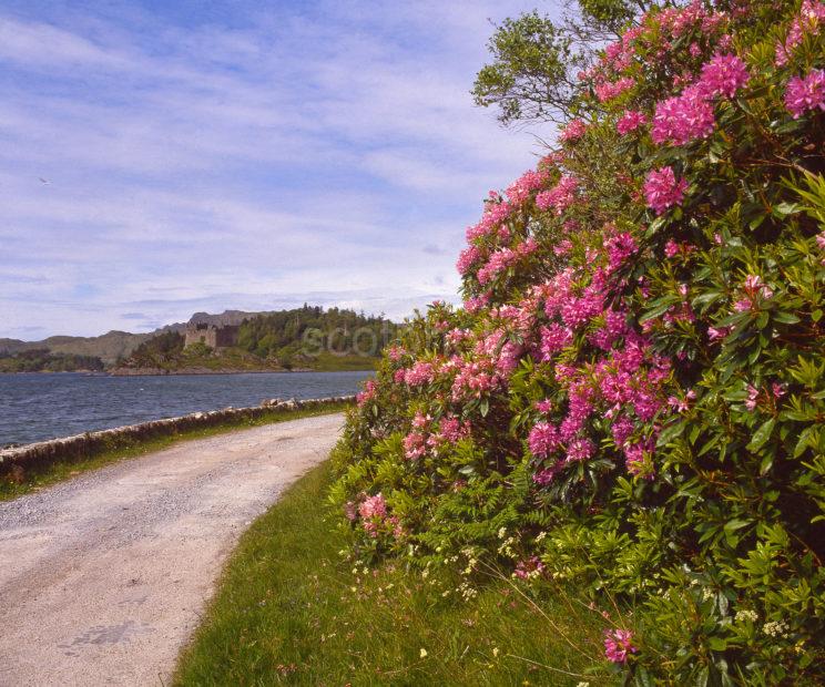 Spring View Towards Tioram Castle On Loch Moidart From Dorlin Pier Moidart West Highlands