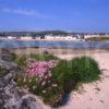 Towards Port Ellen From Beach ISLAY