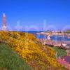 Colourful Spring View Overlooking Findochty Harbour Morayshire